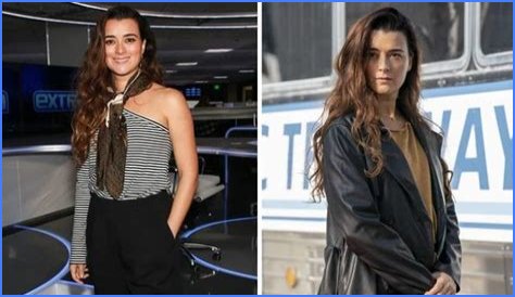 Cote De Pablo's Child Revealed